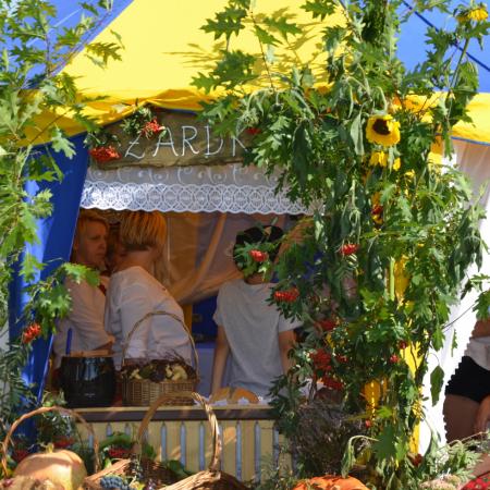 Wyświetl org. rozmiar