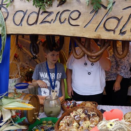 Wyświetl org. rozmiar