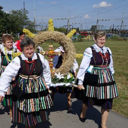 Wyświetl org. rozmiar