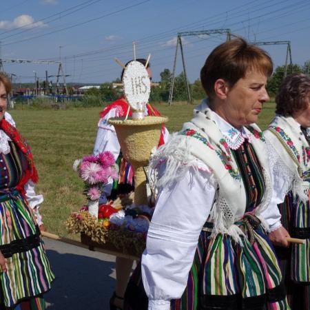 Wyświetl org. rozmiar