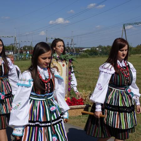 Wyświetl org. rozmiar