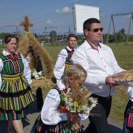 Wyświetl org. rozmiar