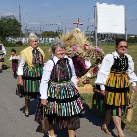 Wyświetl org. rozmiar