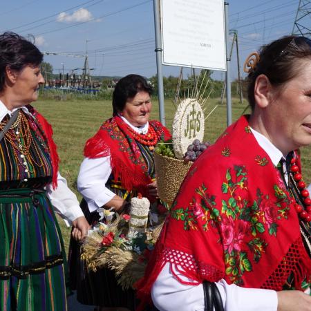 Wyświetl org. rozmiar