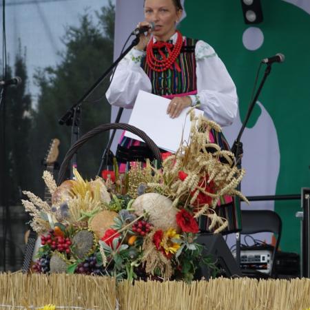 Wyświetl org. rozmiar