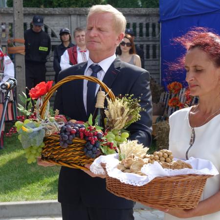 Wyświetl org. rozmiar