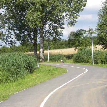 Wyświetl org. rozmiar
