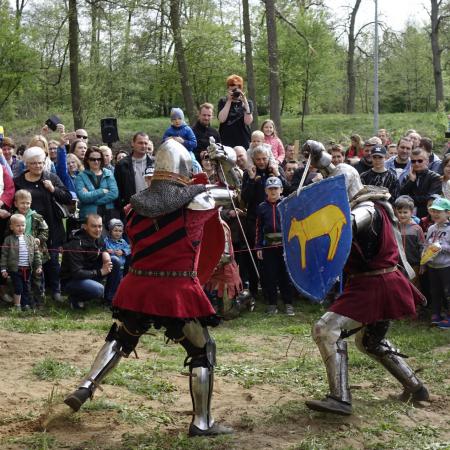 Wyświetl org. rozmiar