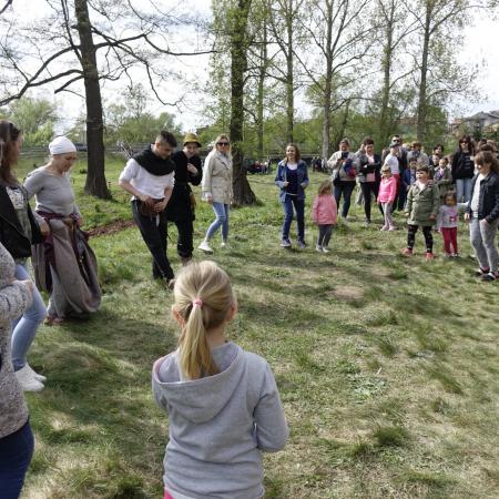 Wyświetl org. rozmiar
