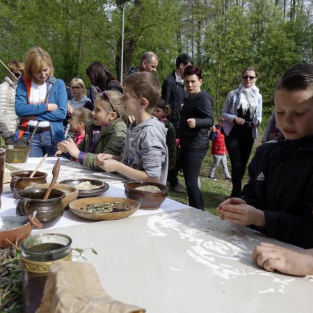 Wyświetl org. rozmiar
