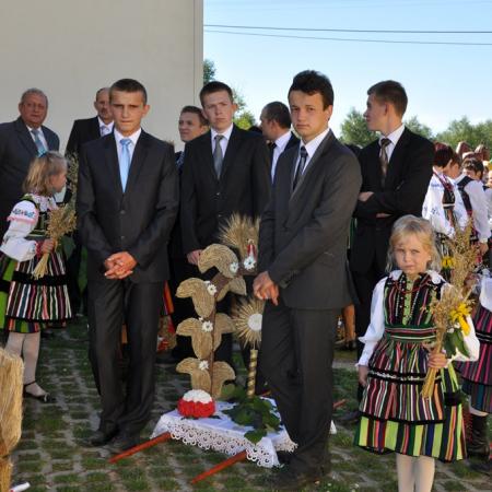 Wyświetl org. rozmiar