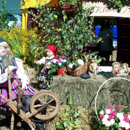 Wyświetl org. rozmiar