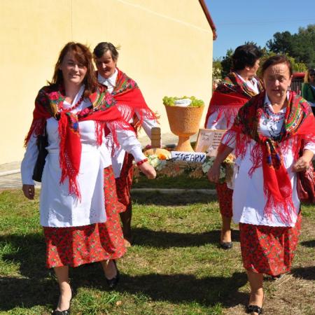 Wyświetl org. rozmiar