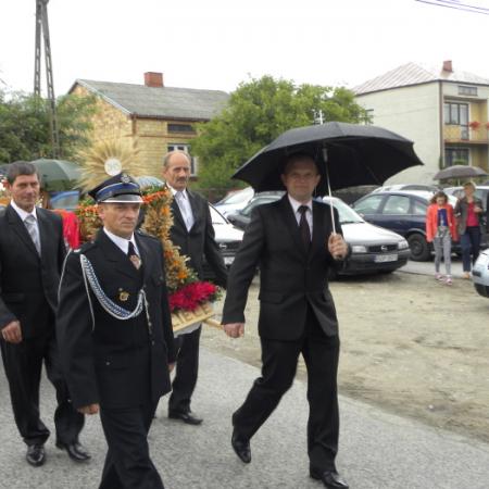 Wyświetl org. rozmiar