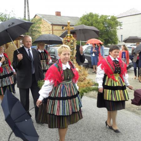 Wyświetl org. rozmiar