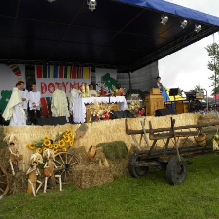 Wyświetl org. rozmiar