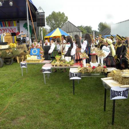 Wyświetl org. rozmiar