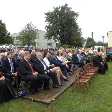 Wyświetl org. rozmiar
