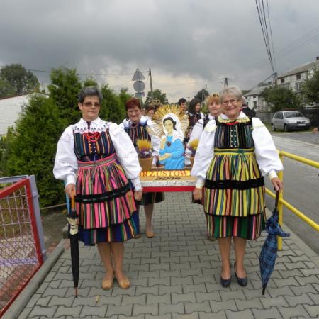 Wyświetl org. rozmiar