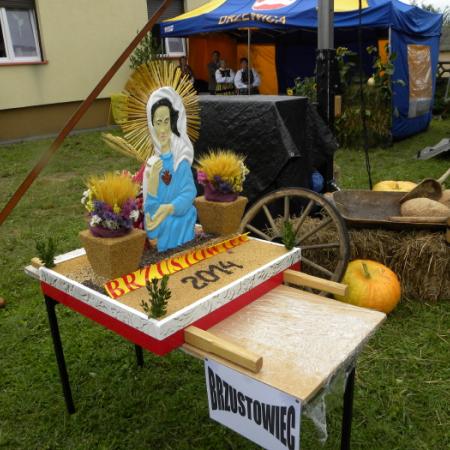 Wyświetl org. rozmiar
