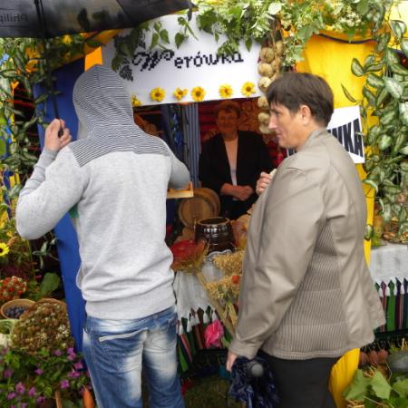 Wyświetl org. rozmiar