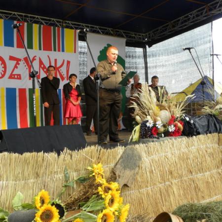 Wyświetl org. rozmiar