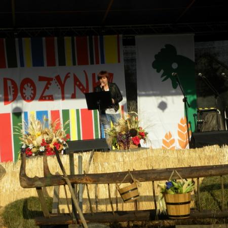 Wyświetl org. rozmiar