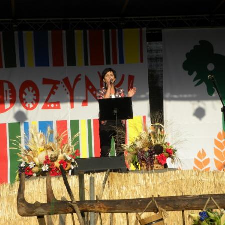 Wyświetl org. rozmiar