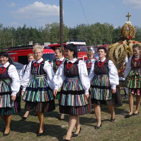 Wyświetl org. rozmiar