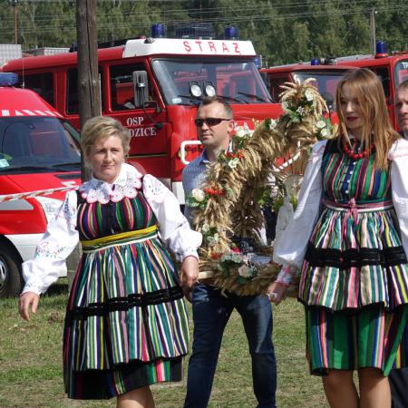 Wyświetl org. rozmiar