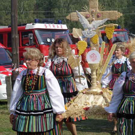 Wyświetl org. rozmiar