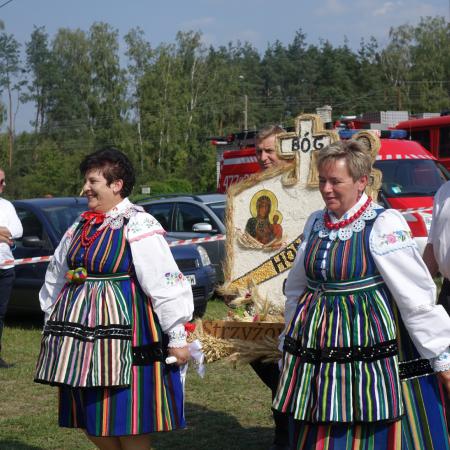 Wyświetl org. rozmiar