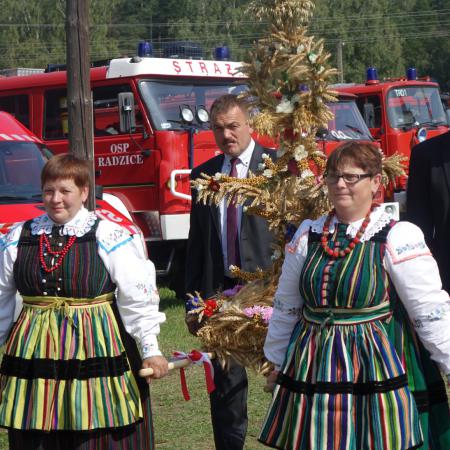 Wyświetl org. rozmiar
