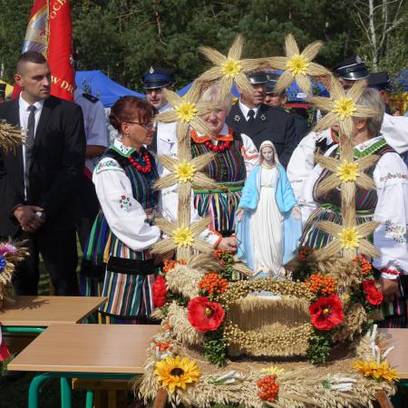 Wyświetl org. rozmiar