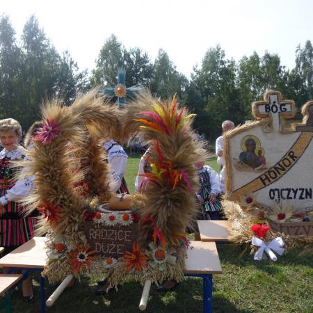 Wyświetl org. rozmiar