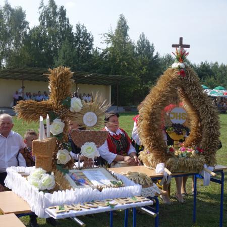 Wyświetl org. rozmiar
