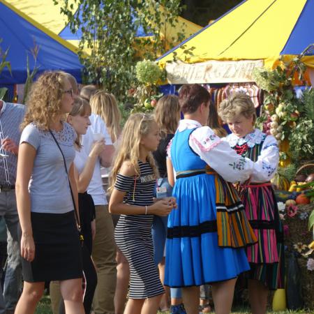 Wyświetl org. rozmiar