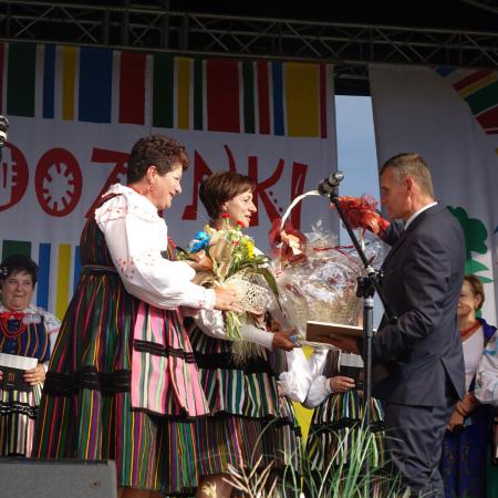 Wyświetl org. rozmiar