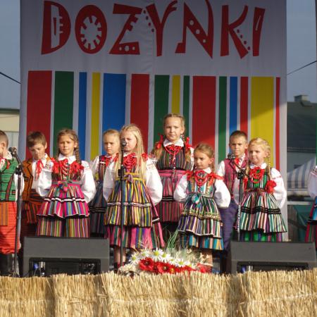 Wyświetl org. rozmiar
