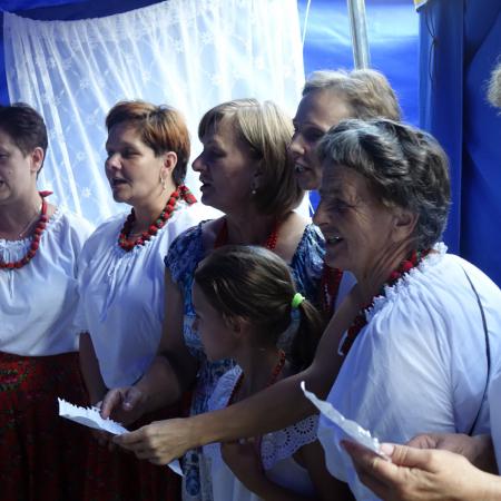 Wyświetl org. rozmiar