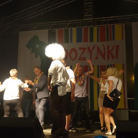 Wyświetl org. rozmiar