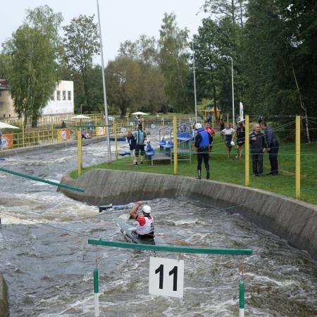 Wyświetl org. rozmiar
