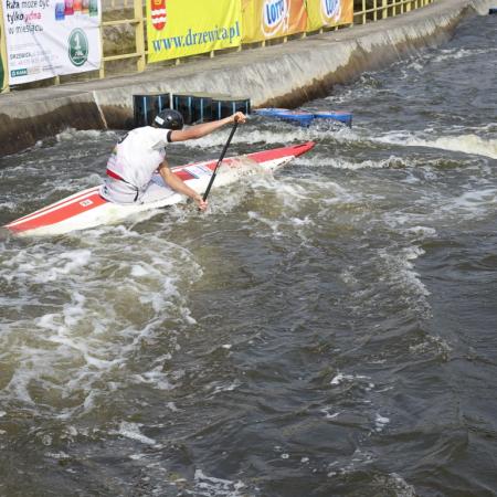 Wyświetl org. rozmiar