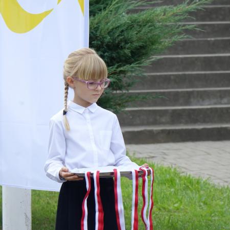 Wyświetl org. rozmiar