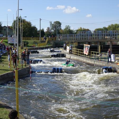 Wyświetl org. rozmiar