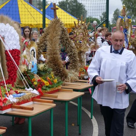 Wyświetl org. rozmiar