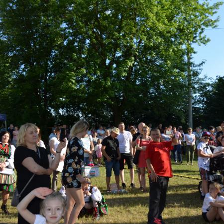Wyświetl org. rozmiar