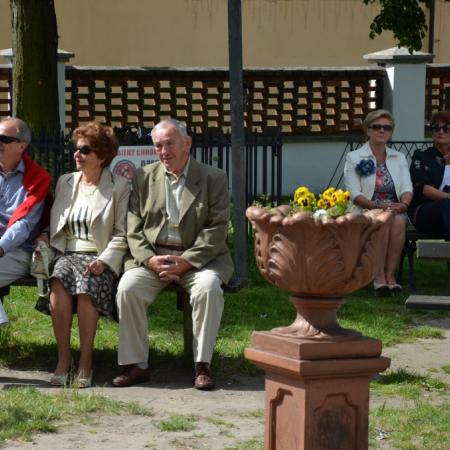 Wyświetl org. rozmiar
