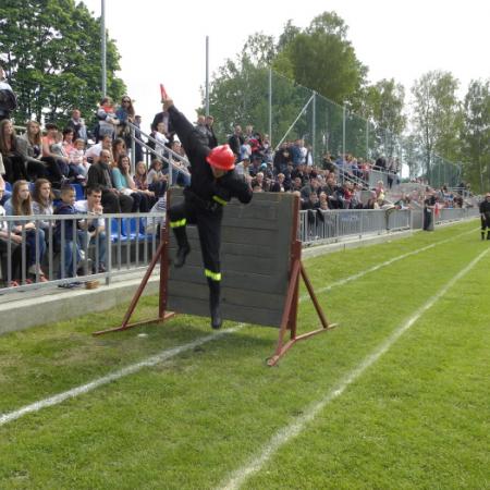Wyświetl org. rozmiar