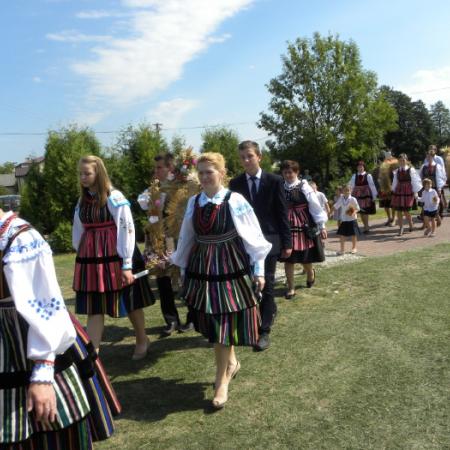 Wyświetl org. rozmiar